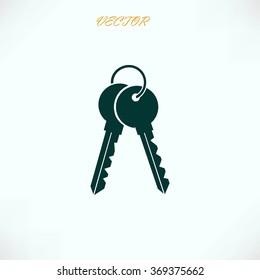 Keys Icon