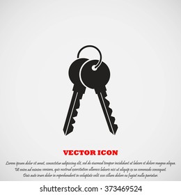 Keys Icon