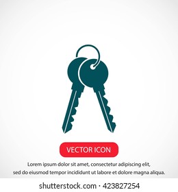Keys Icon