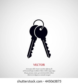Keys Icon