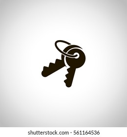 keys icon. sign design gray gradient background