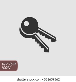 Keys Icon in trendy flat style