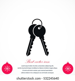 Keys Icon vector, flat design best vector icon