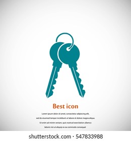 Keys Icon vector, flat design best vector icon