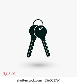 Keys Icon vector, flat design best vector icon