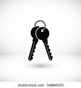 Keys Icon vector, flat design best vector icon
