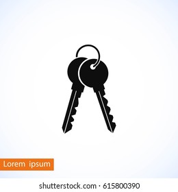 Keys Icon vector, flat design best vector icon