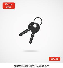 Keys Icon. Vector Image. EPS10