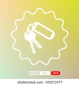 keys and  Key chain  Blank Square with Ring, icon, vector