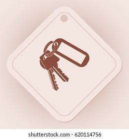 keys and  Key chain  Blank Square with Ring