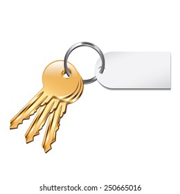Keys with tag isolated on white photo-realistic vector illustration