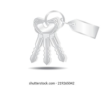 Keys and tags isolated on a white background