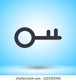 Keys  vector icon