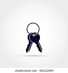 Keys vector icon