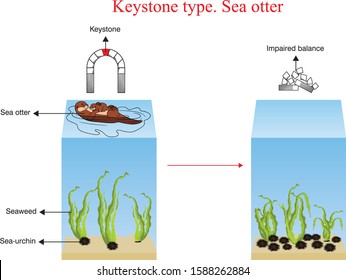 Keystone type. Sea otter. corrupt balance.