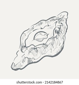 Khachapuri esboza ilustración vectorial de mano