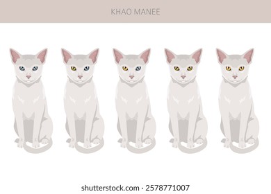 Khao Manee Cat clipart. All coat colors set.  All cat breeds characteristics infographic. Vector illustration