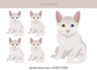 Khao Manee Cat clipart. All coat colors set.  All cat breeds characteristics infographic. Vector illustration