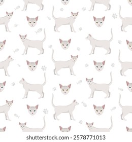 Khao Manee Cat clipart. All coat colors set.  All cat breeds characteristics infographic. Vector illustration