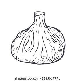 Khinkali. Hand drawn traditional cuisine food in monochrome sketch style. Dumpling vector illustration.