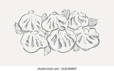 Khinkali sketch hand drawn vector illustration