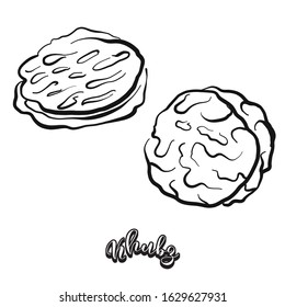 Khubz food sketch separated on white. Vector drawing of Flatbread, usually known in Arab world. Food illustration series.