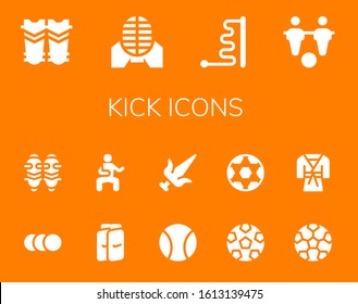 kick icon set. 14 filled kick icons. Included Shin guards, Martial arts, Ball, Foosball, Balls, Soccer, Football, Judo icons