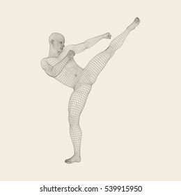 Kickbox Fighter Preparing to Execute a High Kick. Fitness, Sport, Training and Martial Arts Concept. 3D Model of Man. Human Body. Design Element. Vector Illustration. 