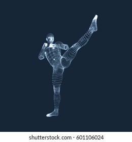 Kickbox Fighter Preparing to Execute a High Kick. Fitness, Sport, Training and Martial Arts Concept. 3D Model of Man. Human Body. Design Element. Vector Illustration.