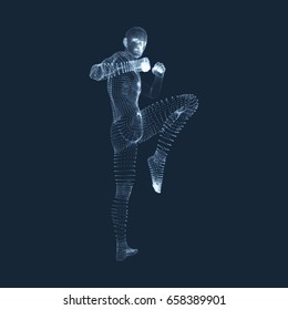 Kickbox Fighter Preparing to Execute a High Kick. Fitness, Sport, Training and Martial Arts Concept. 3D Model of Man. Human Body. Design Element. Vector Illustration.