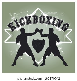 kickboxing shield