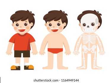 Kid Body Anatomy Vector Illustration Stock Vector (Royalty Free) 1164949144