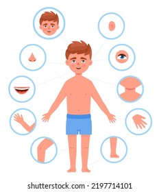 Kid Body Parts Child Anatomy Human Stock Vector (Royalty Free ...