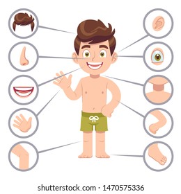 Kid body parts. Human child boy with eye, nose and chest, head. Knee, legs and arms cartoon preschool education vector isolated anatomy teaching illustration