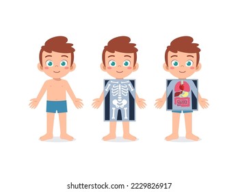 kid body structure for education in school