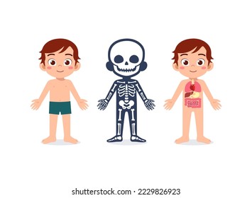 kid body structure for education in school