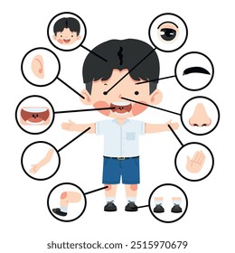 Kid boy with different parts of the body for teaching 