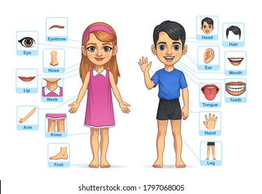 Kid Boy and Girl Body Part, Vector EPS 10