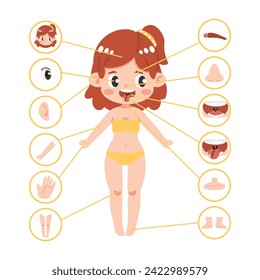kid girl body part anatomy vector