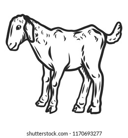Kid goat icon. Hand drawn illustration of kid goat vector icon for web design