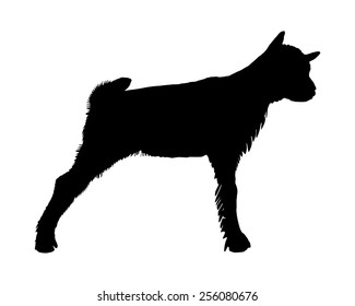 Kid goat silhouette