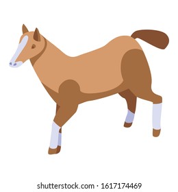 Kid horse icon. Isometric of kid horse vector icon for web design isolated on white background