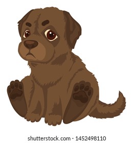 Kid labrador icon. Cartoon of kid labrador vector icon for web design isolated on white background