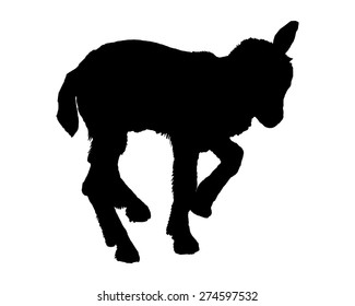 Kid silhouette