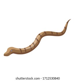 Kid snake icon. Isometric of kid snake vector icon for web design isolated on white background