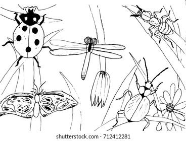 Kid style ink drawing meadow objects, plants, flowers, grass, insects, hand drawn vector illustration