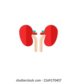 Kidney abstract flat icon. Human Internal Organ vector illustration isolated on white background. Medical diagram nephrology urology poster