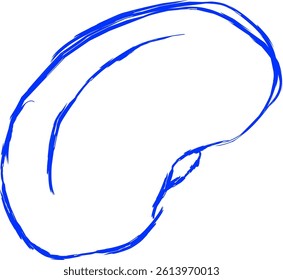 kidney bean icon in doodle style. blue line doodle icon