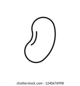 kidney bean icon vector. bean icon