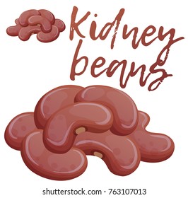 Kidney beans icon. Cartoon vector illustration isolated on white background. Series of food and drink and ingredients for cooking